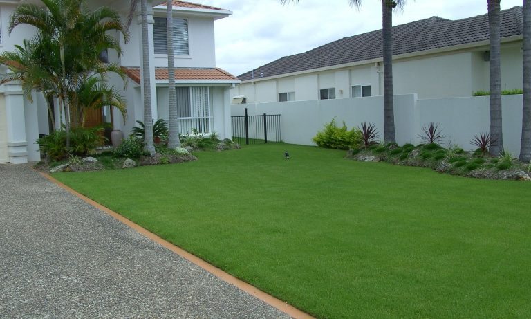Zoysia Grass large suburban house with palm threes and a front garden