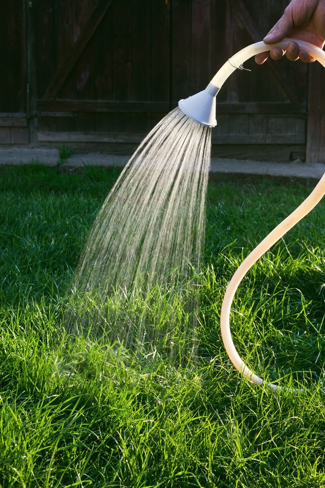 Protecting Your Lawn from the Summer Sun Glenview Turf