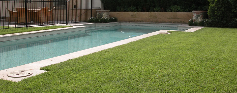 Empire Zoysia Grass Turf Lawn Glenview Turf Pool