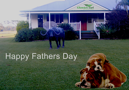 Happy Fathers Day from all the team at Glenview Turf!