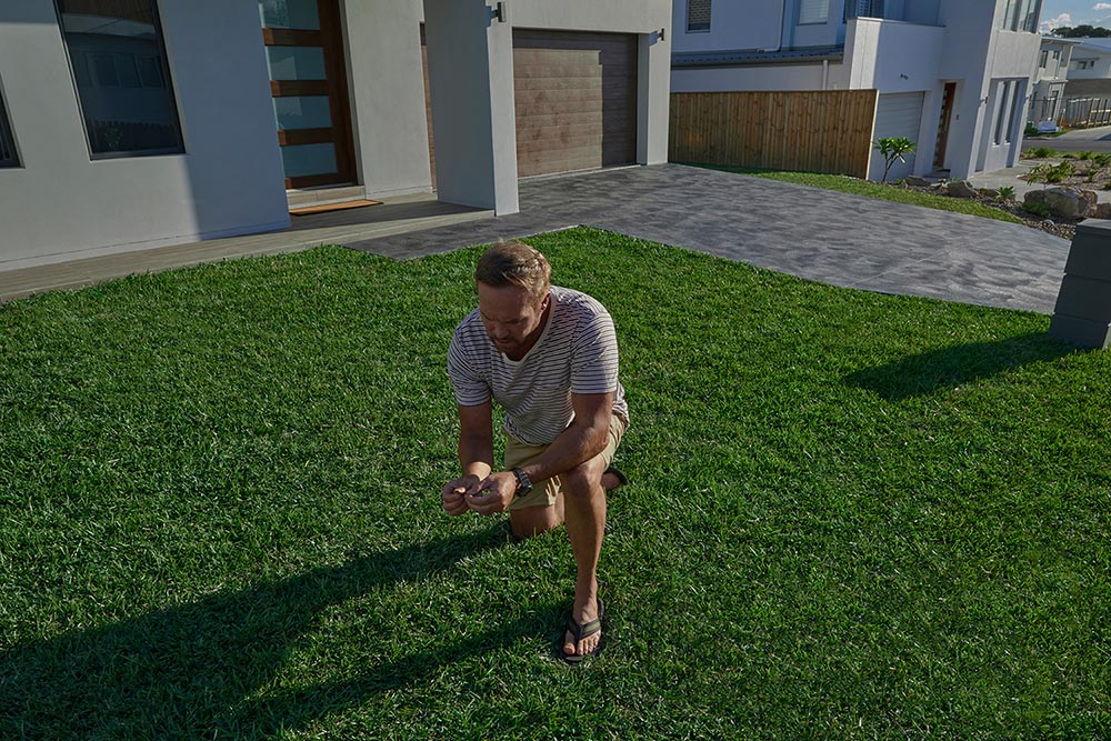 Prestige Darkest Green Buffalo Turf