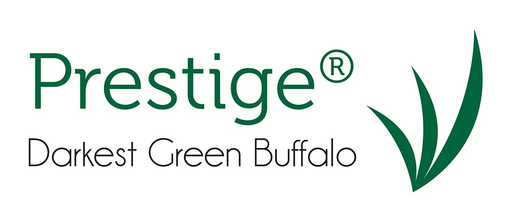 Prestige Darkest Green Buffalo Turf Logo
