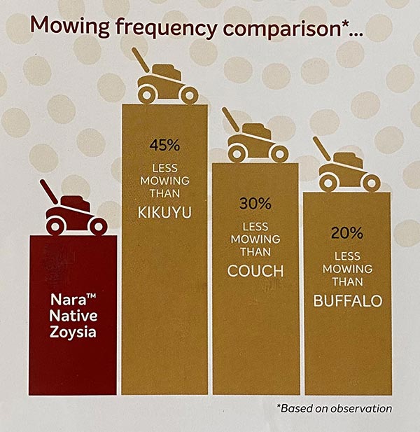 Nara-Native-Zoysia-Mowing-Frequency-Comparison-w-Glenview-Turf